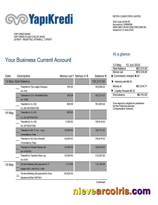 Yapi Kredi Bank organization account statement